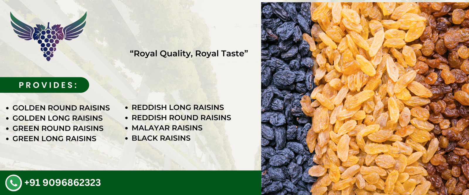 royal raisin 1 (2)